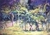 paesaggio80pp.JPG (4722 byte)