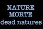 nature morte